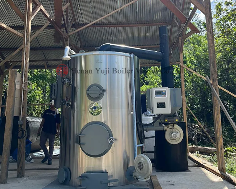 Biomass Steam Generator main diagram 2